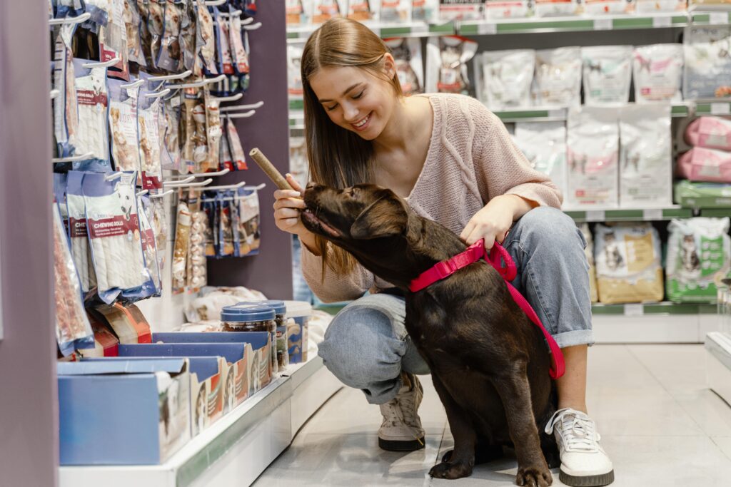 Os impactos da Reforma Tributária no Pet Shop entenda como CBS e IBS vão afetar o seu negócio
